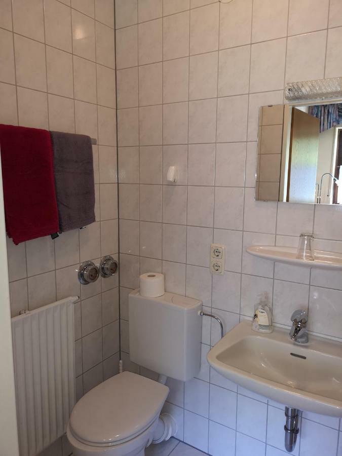 Appart-Pension-Schier Целль-ан-дер-Мозель Экстерьер фото